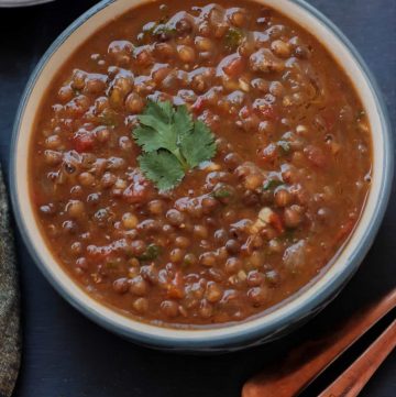 Instant-Pot-Brown-Lentils